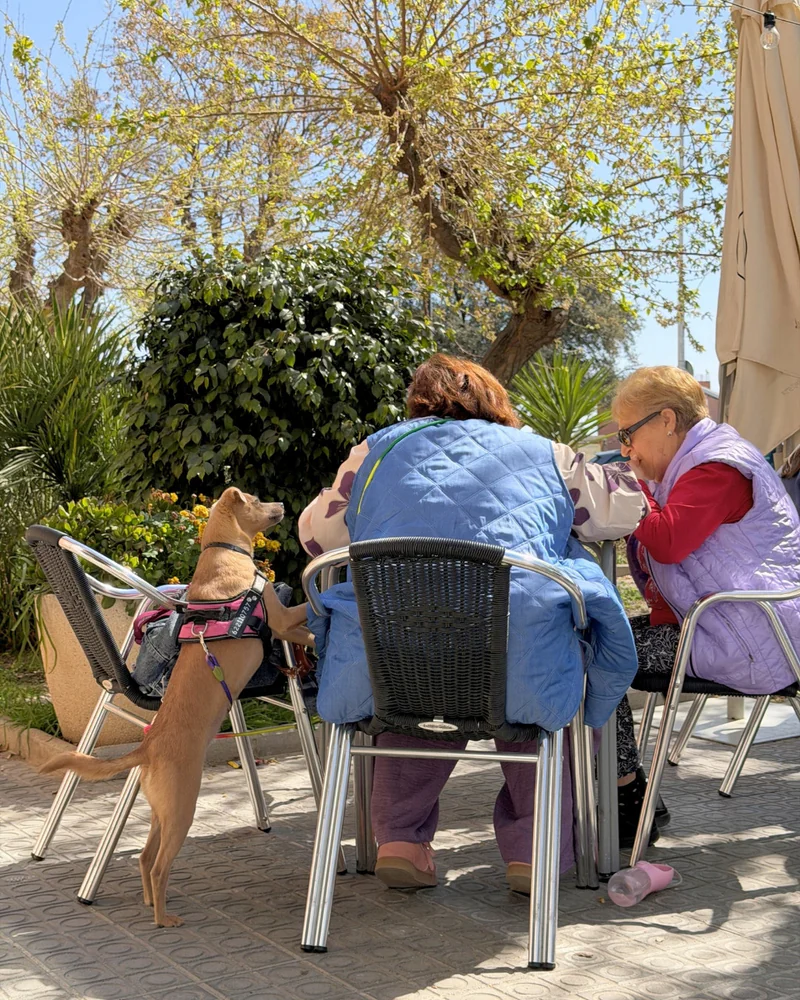San Isidro Barrio Viejo
