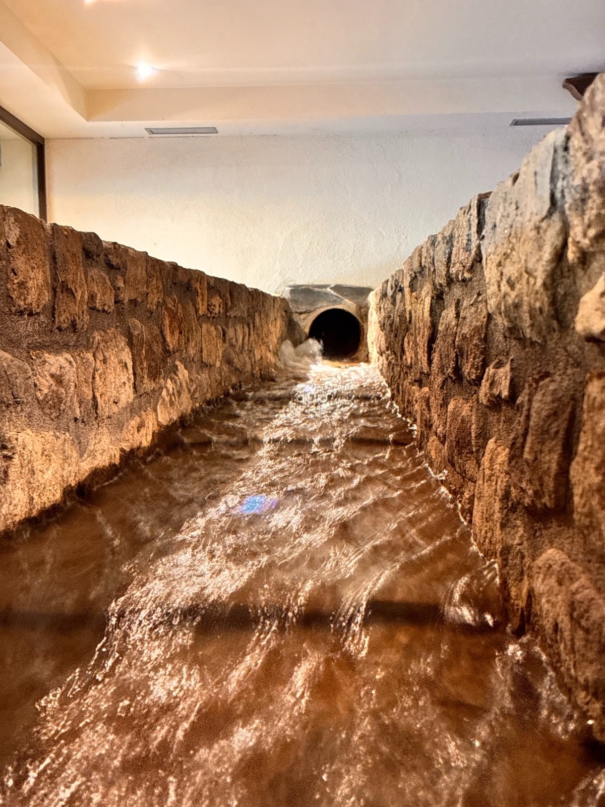 Sagardotegi Olatzea Jatexea - Lugar - photo 5