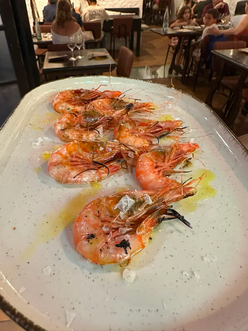 Gamba Vilanova