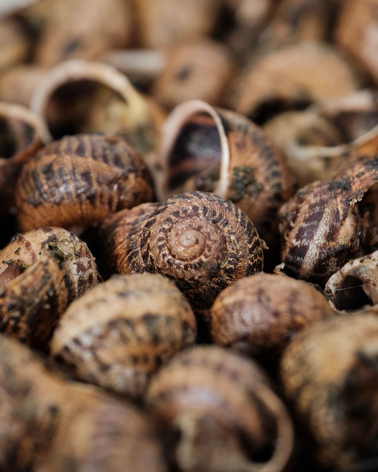 La Parròquia Vilanova