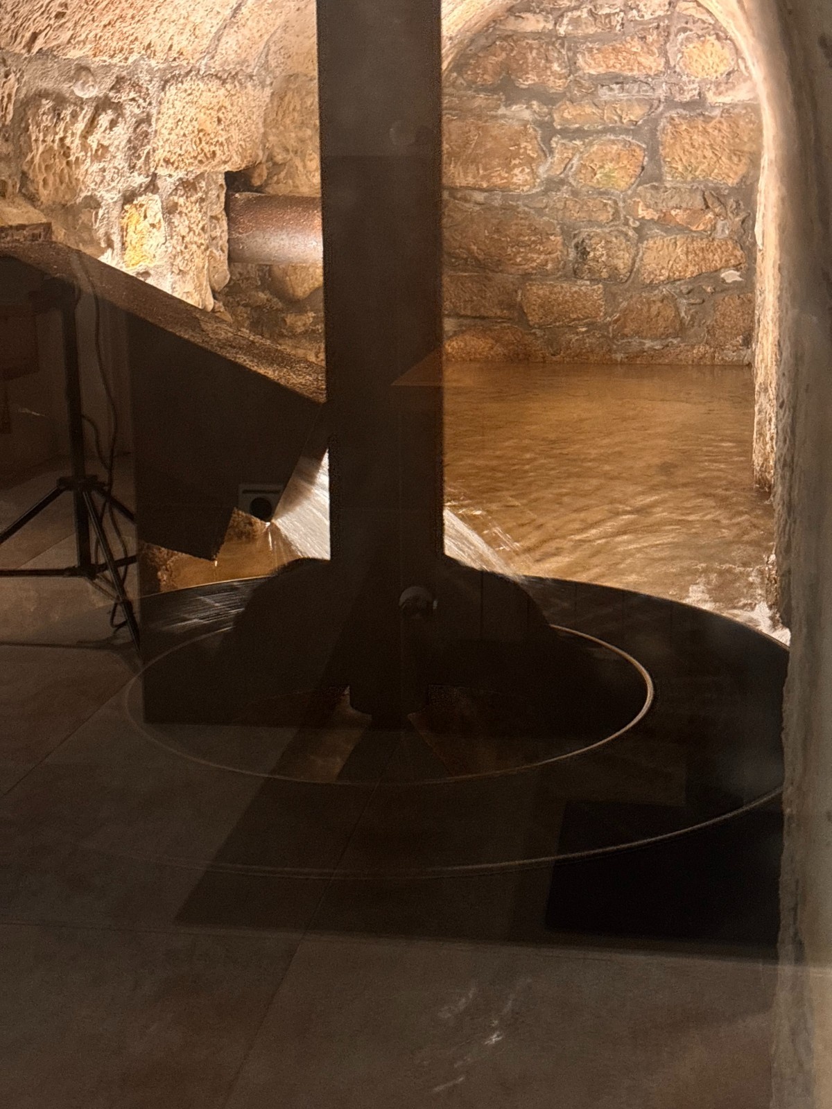 Sagardotegi Olatzea Jatexea - Lugar - photo 6