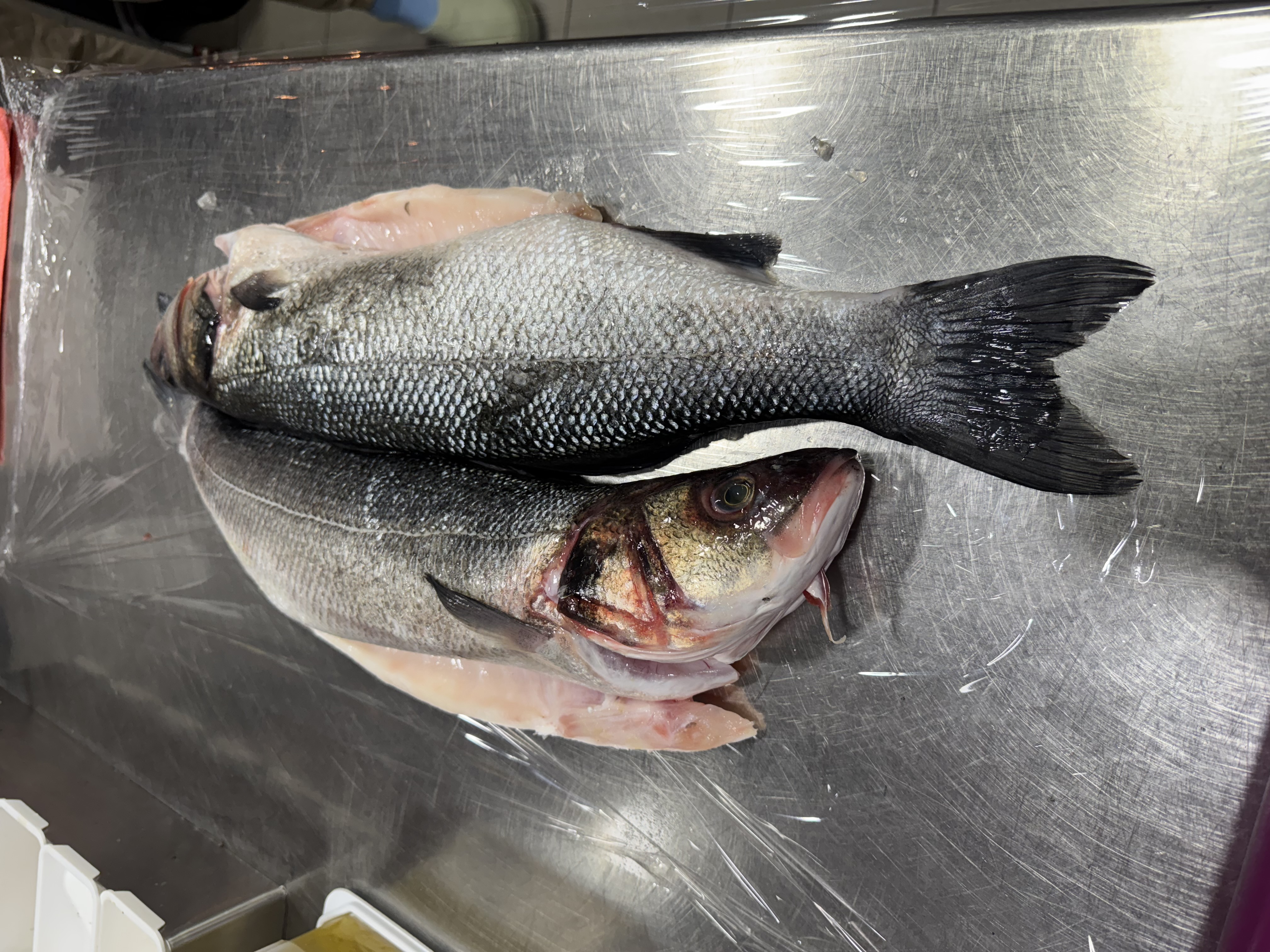 Già Sai Ristorante e Pizzeria