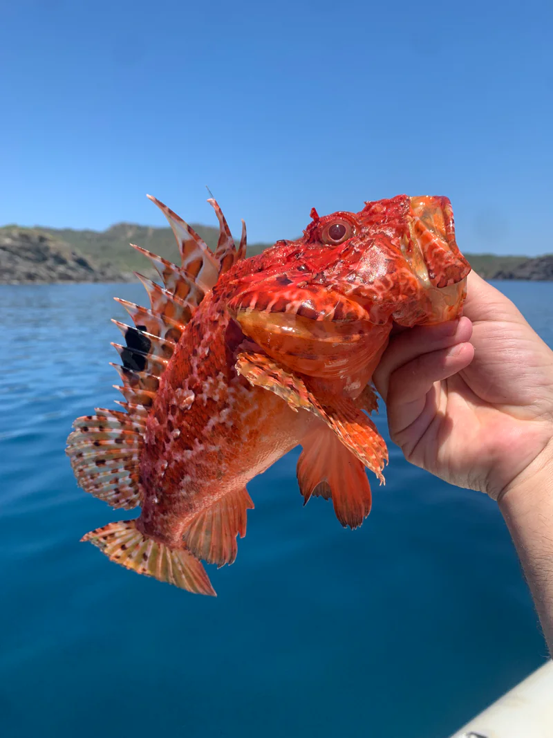 El Rebost de Cadaqués