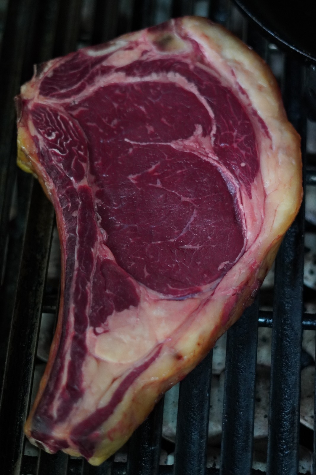 Sagardotegi Olatzea Jatexea